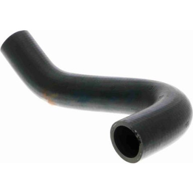 Vaico | Kühlerschlauch | V10-0055