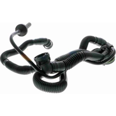 V10-3505 Schlauch, Zylinderkopfhaubenentlüftung Original VAICO Qualität V10-3505 Schlauch, Zylinderkopfhaubenentlüftung Original VAICO Qualität