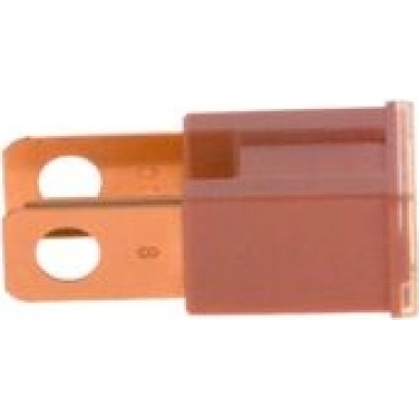 1 987 529 068 Sicherung