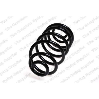 4263486 Fahrwerksfeder