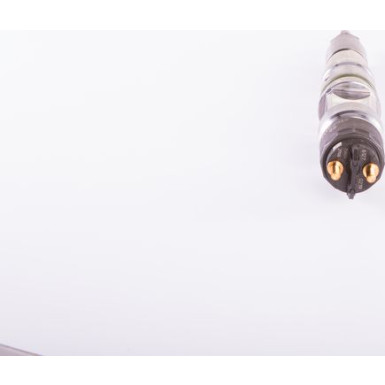 BOSCH 0 445 120 219 Einspritzdüse BOSCH 0 445 120 219 Einspritzdüse