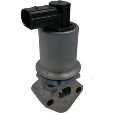 Magneti Marelli | AGR-Ventil | 571822112071