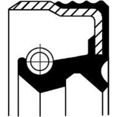 12012242B Wellendichtring, Differential