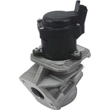 Magneti Marelli | AGR-Ventil | 571822112029