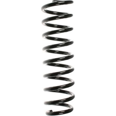 Spidan | Fahrwerksfeder | 49498