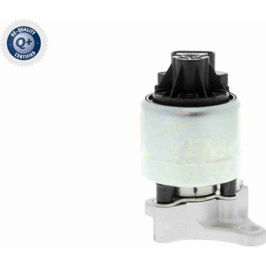 V51-63-0005 AGR-Ventil, Abgassteuerung Q+, Erstausrüsterqualität