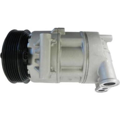 Mahle | Kompressor, Klimaanlage | ACP 189 000S