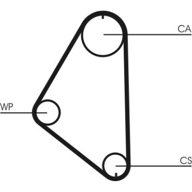 CT558 Zahnriemen CT558 Zahnriemen