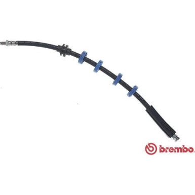Brembo | Bremsschlauch | T 23 040