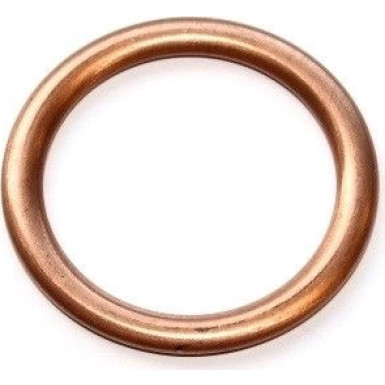 Elring | Dichtring | 813.133