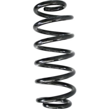 Spidan 2 x SPIDAN Fahrwerksfeder 86588