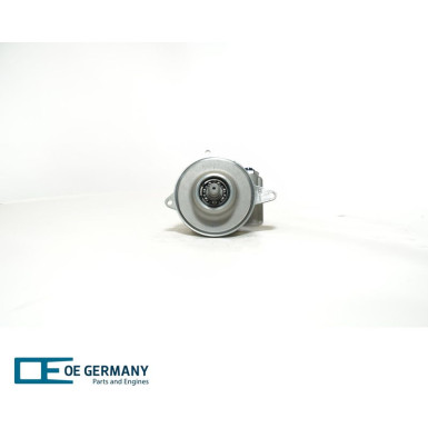 OE Germany | Hydraulikpumpe, Lenkung | 03 1390 D00000