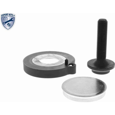 V10-9876 Radlagersatz EXPERT KITS +