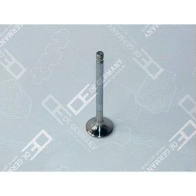 05 0520 110001 Auslassventil