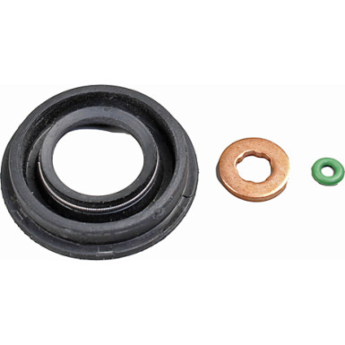 0873011 Dichtungssatz, Einspritzdüse