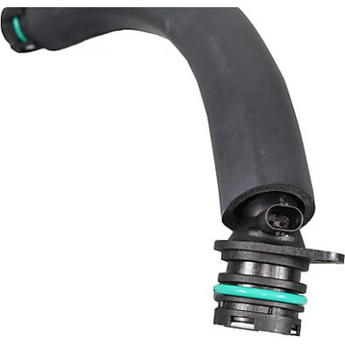 2380172 Schlauch, Zylinderkopfhaubenentlüftung GREENPARTS