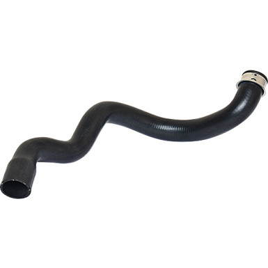 2420126 Kühlerschlauch