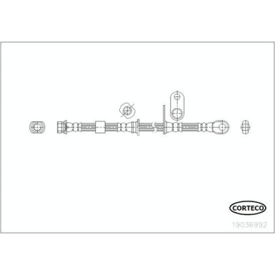 Corteco | Bremsschlauch | 19036992 Corteco | Bremsschlauch | 19036992