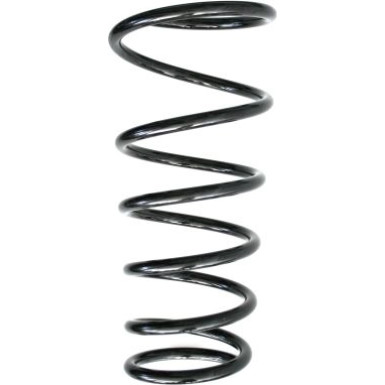 Spidan | Fahrwerksfeder | 87416