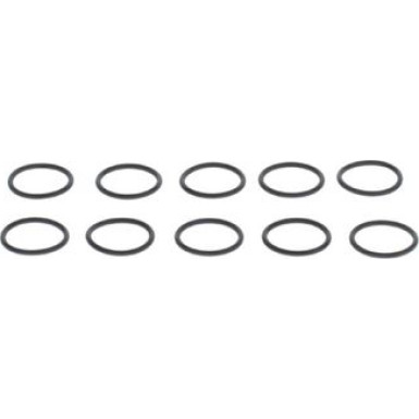 BOSCH | Dichtring | 1 900 210 125