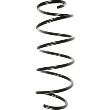 Spidan | Fahrwerksfeder | 55255