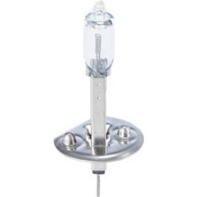 BOSCH Glühlampe, Hauptscheinwerfer Trucklight WS 1 987 302 411