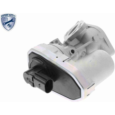Vemo | AGR-Ventil | V24-63-0003