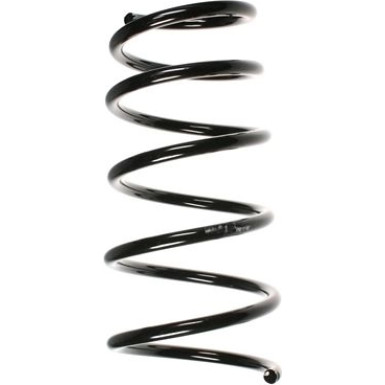 Spidan | Fahrwerksfeder | 55072