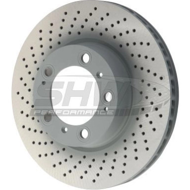 SHW Performance | Bremsscheibe | Vorderachse links | PFL39965