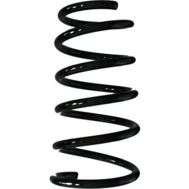 Spidan | Fahrwerksfeder | 87463