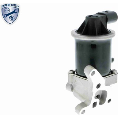 Vemo | AGR-Ventil | V10-63-0072