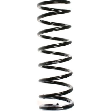 Spidan | Fahrwerksfeder | 49649