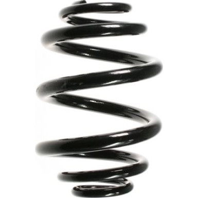 Spidan | Fahrwerksfeder | 55086