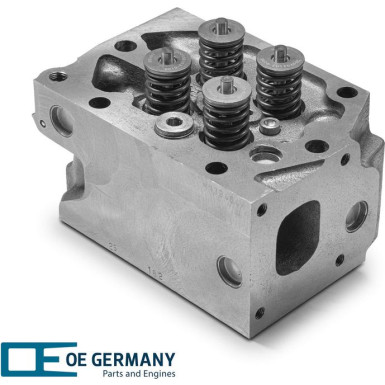 OE Germany | Zylinderkopf | 02 0129 287600