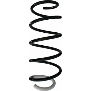Spidan | Fahrwerksfeder | 87402