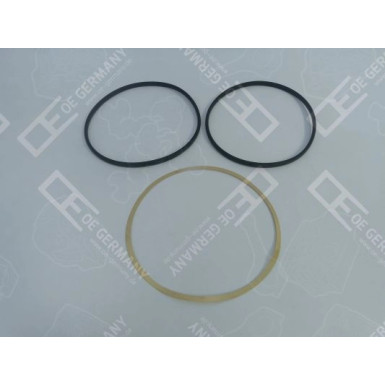 OE Germany Dichtscheibe 01 0111 500000