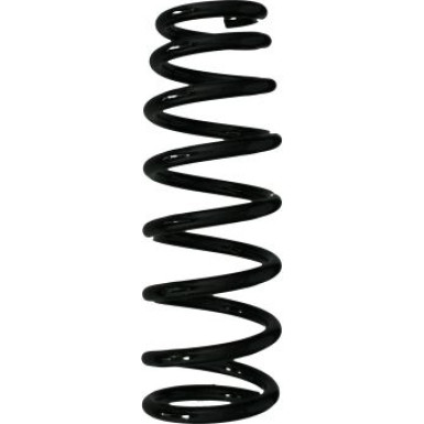 Spidan 2 x SPIDAN Fahrwerksfeder 85092