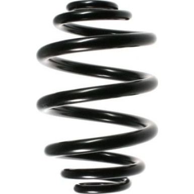 Spidan | Fahrwerksfeder | 49167