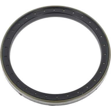 12018035B Wellendichtring, Radnabe