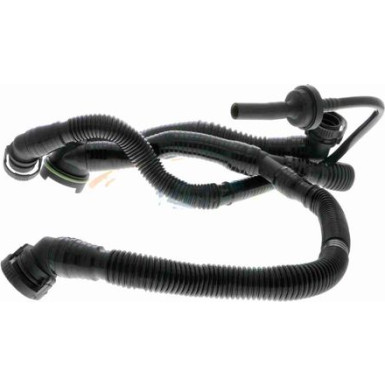 V10-3505 Schlauch, Zylinderkopfhaubenentlüftung Original VAICO Qualität V10-3505 Schlauch, Zylinderkopfhaubenentlüftung Original VAICO Qualität