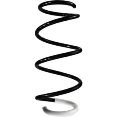 Spidan | Fahrwerksfeder | 85298