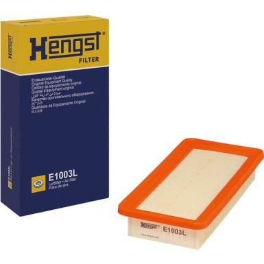 E1003L Luftfilter