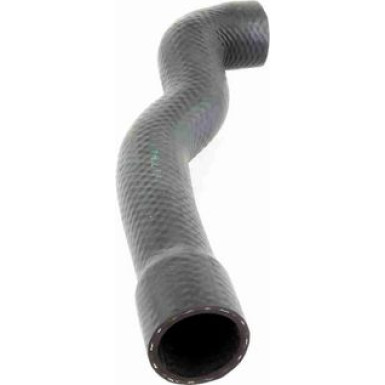 Vaico | Kühlerschlauch | V20-1239