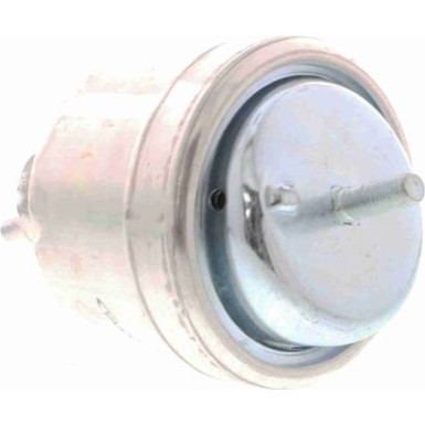 Vaico | Lagerung, Motor | V40-0357