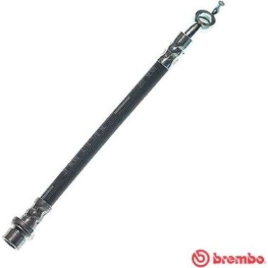 Brembo | Bremsschlauch | T 83 160