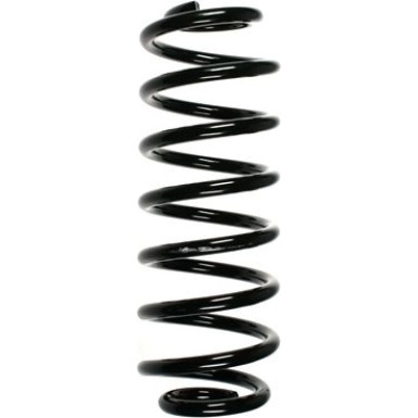 Spidan | Fahrwerksfeder | 55100
