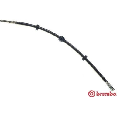 Brembo | Bremsschlauch | T 85 031
