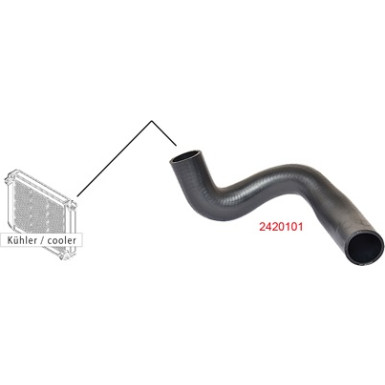 2420101 Kühlerschlauch