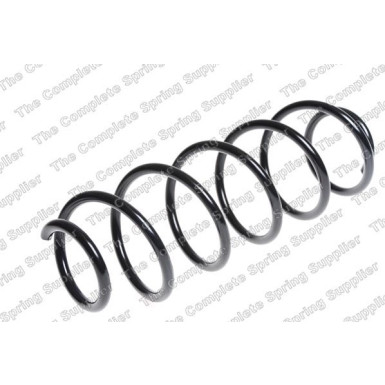 4272951 Fahrwerksfeder