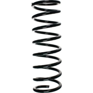 Spidan | Fahrwerksfeder | 55595